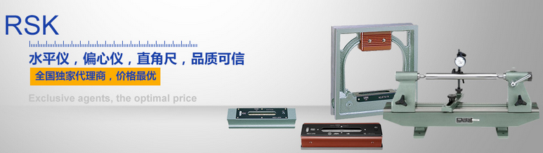 RSK水平仪 RSK水平仪