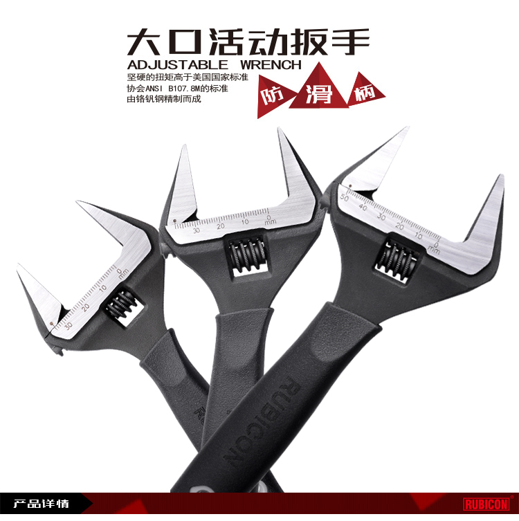 RBV001.jpg RBV001.jpg