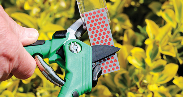 园艺.jpg 园艺.jpg