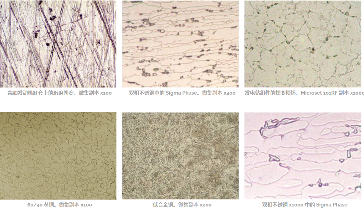 显微镜复制胶膜应用.png 显微镜复制胶膜应用.png