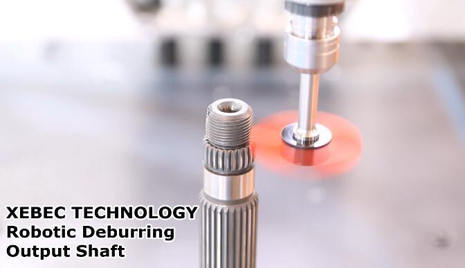 锐必克轮型研磨刷.jpg 锐必克轮型研磨刷.jpg