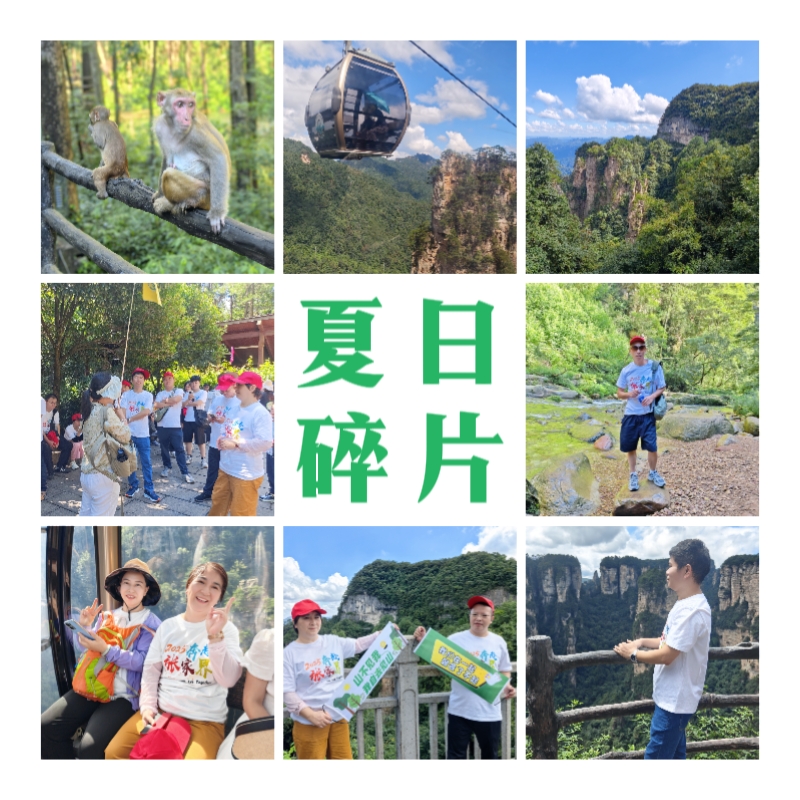 夏日碎片.jpg 夏日碎片.jpg