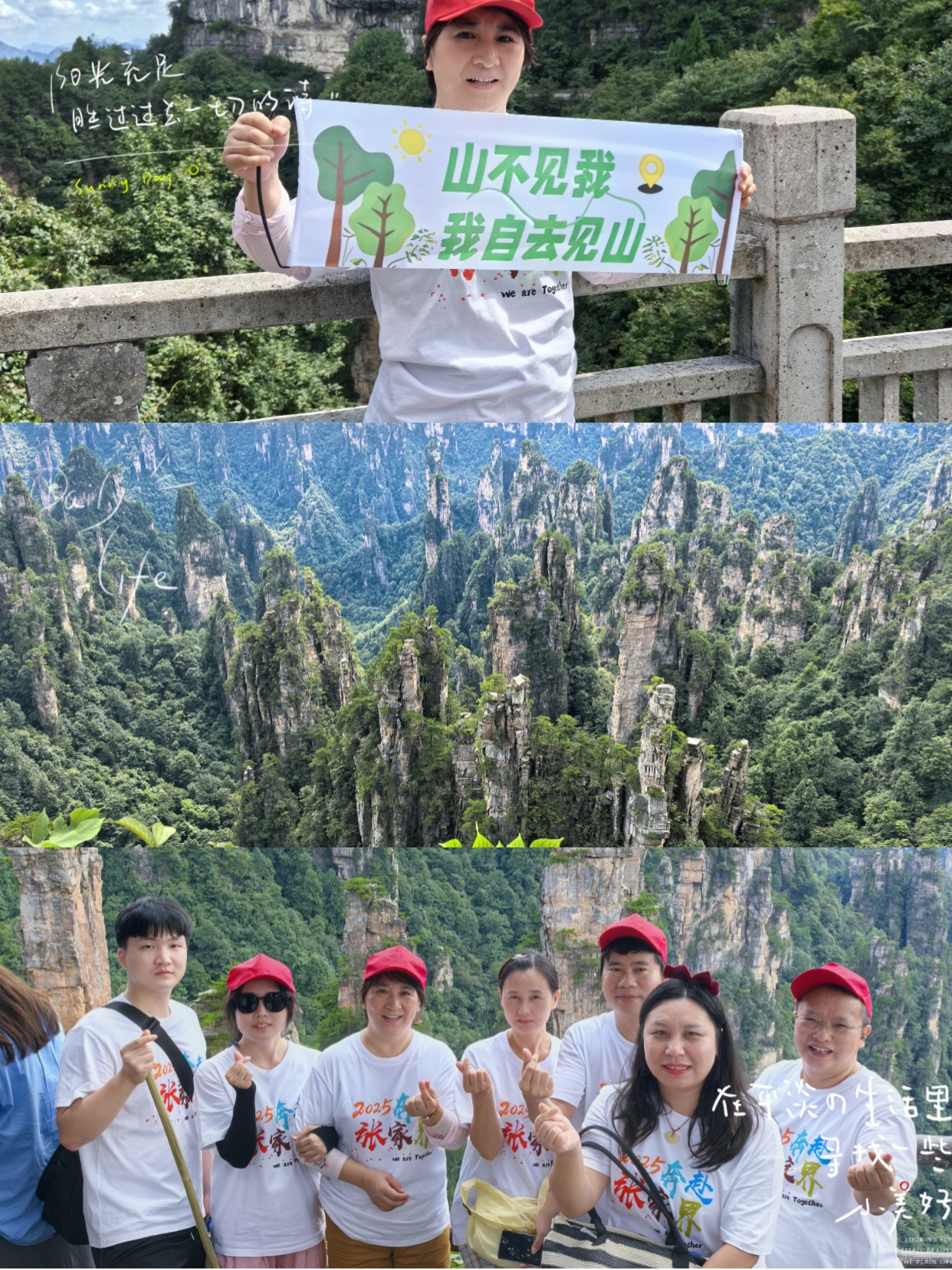 山不见我,我自去见山.jpg 山不见我,我自去见山.jpg